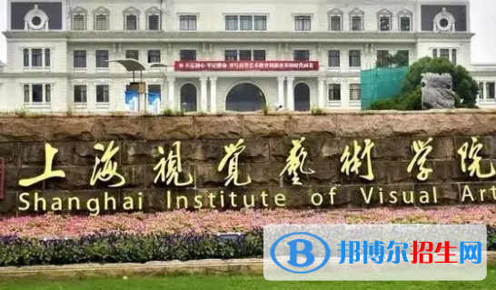上海视觉艺术学院排名(全国)上海视觉艺术学院在上海排名