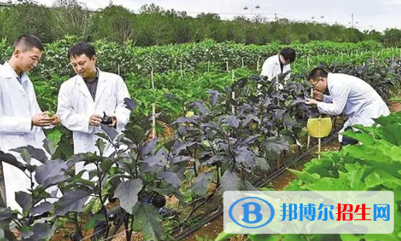 绿色生物制造技术专业(国标版)怎么样?