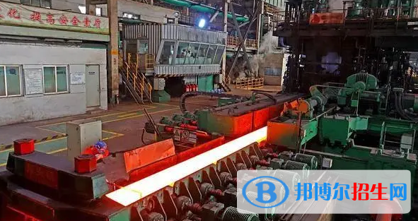 智能轧钢技术专业(国标版)怎么样?