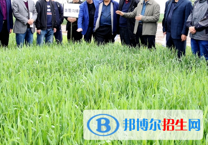 农学专业好吗?(农学专业)