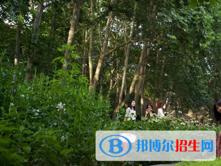 园艺专业好吗?(园艺专业)