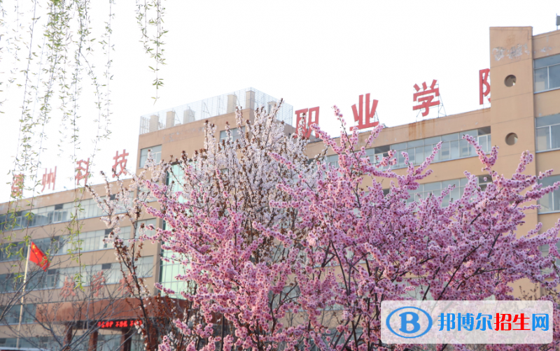 2022德州市高职院校排名(校友会)