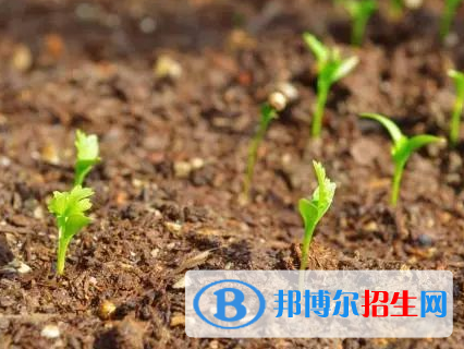 种子科学与工程专业好吗?(种子科学与工程专业)