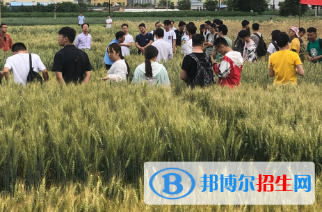 设施农业科学与工程专业好吗?(设施农业科学与工程专业)