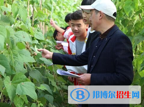 农艺教育专业好吗?(农艺教育专业)