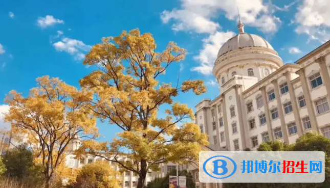 2022昆明市民办大学排名（校友会)