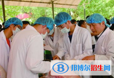 动物科学专业好吗?(动物科学专业)