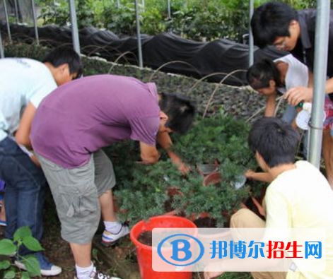 园林专业好吗?(园林专业)