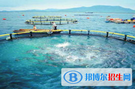 水产养殖学专业好吗?(水产养殖学专业)