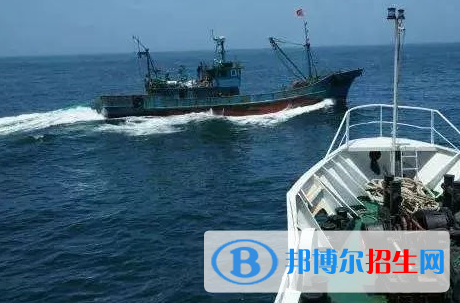 海洋渔业科学与技术专业好吗?(海洋渔业科学与技术专业)
