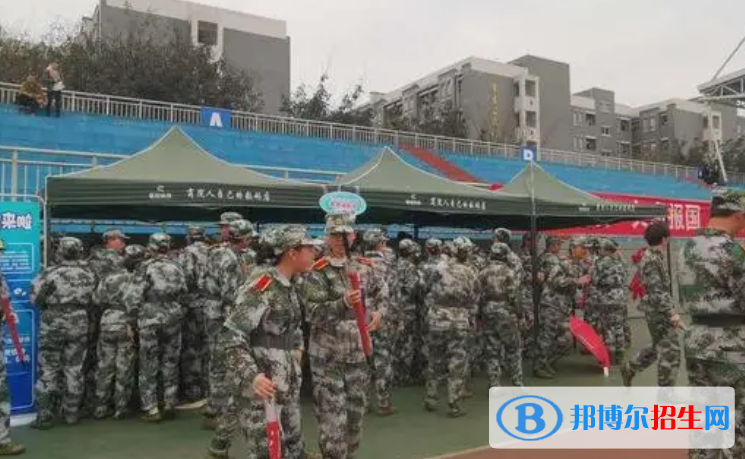 重庆单招信息统计与分析专业2023年有哪些学校