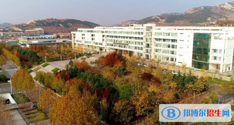 山东单招智能产品开发专业2023年有哪些学校
