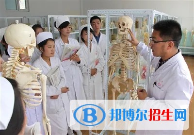 浙江2023年读卫校需要什么