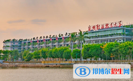 福建单招财务管理专业2023年有哪些学校