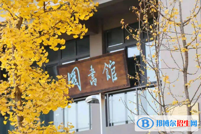 四川单招少儿体育专业2023年有哪些学校