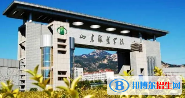 泰安所有的专科学校有哪些?(附学校名单)