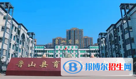 鲁山县育英高级中学2022录取分数线（2023参考）