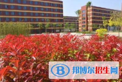 河北2023年哪个电子商务学校好