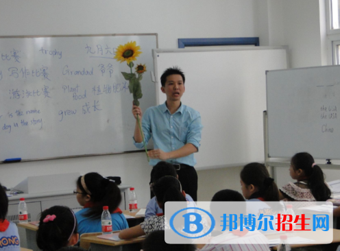 小学数学教育专业好吗?(小学数学教育专业)
