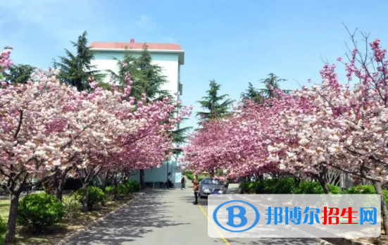 青岛滨海学院是不是双一流大学吗？