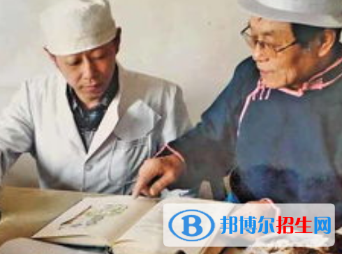 蒙药学专业好吗?(蒙药学专业)