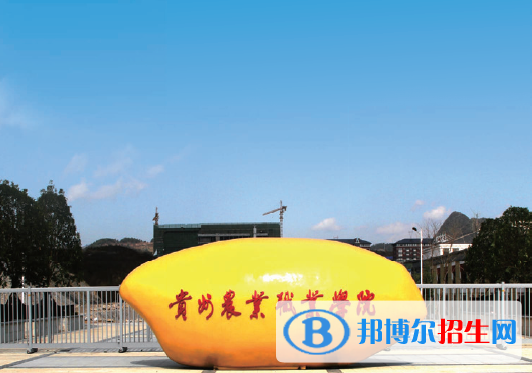 贵州农业职业学院单招怎么样？