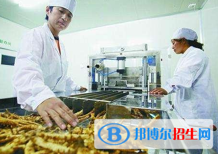 中药材生产与加工专业好吗?(中药材生产与加工专业)
