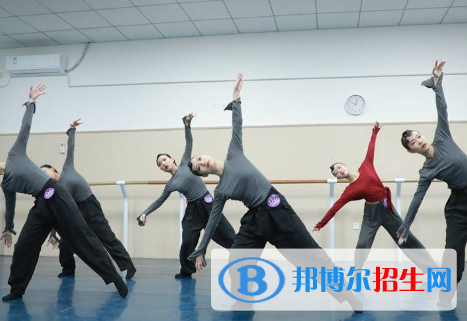 舞蹈教育专业好吗?(舞蹈教育专业)