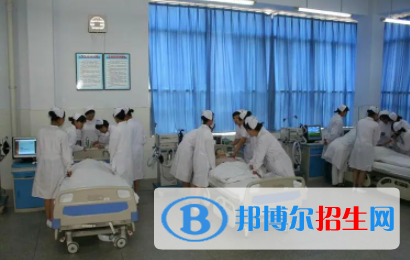 浙江2023年女生读中专学什么好