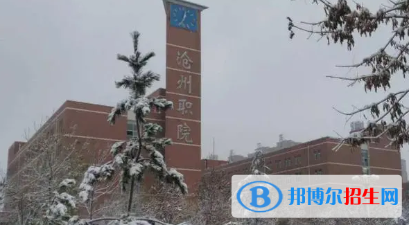 河北单招农村金融专业2023年有哪些学校