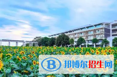 广西单招跨境电子商务专业2023年有哪些学校
