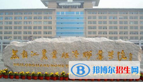 黑龙江单招影视动画专业2023年有哪些学校