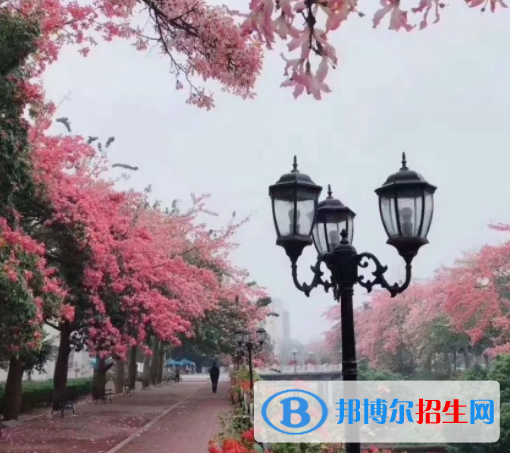 广州软件学院是不是双一流大学？