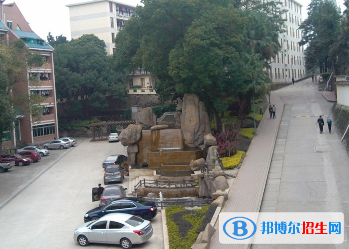 福建单招青少年工作与管理专业2023年有哪些学校