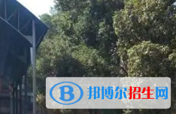 双峰四中、双峰五中2022录取分数线 (2023参考)