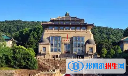 武汉大学有哪些中外合作办学专业?(附名单)