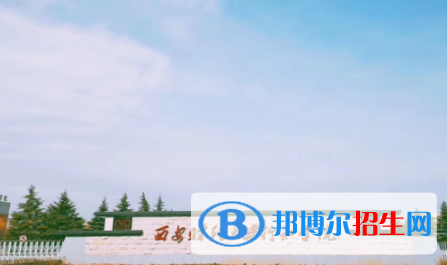 西安财经大学行知学院是不是双一流大学？