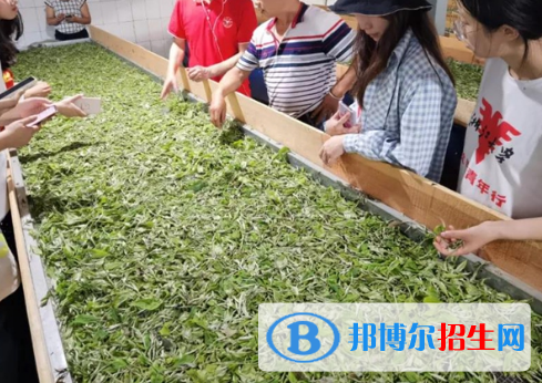 农业生物技术专业好吗?(农业生物技术专业)