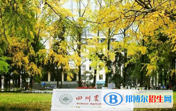 四川农业大学有哪些中外合作办学专业?(附名单)