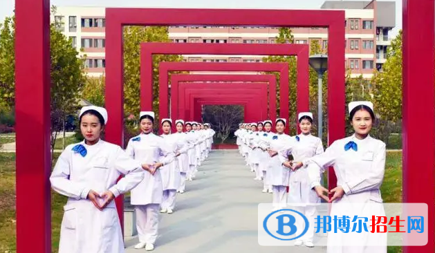河南单招心理咨询专业2023年有哪些学校