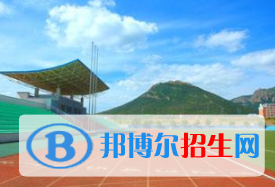 大连理工大学城市学院是不是双一流大学？