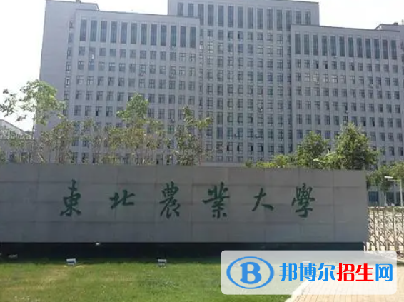 黑龙江农林类大学有哪些？(附名单)