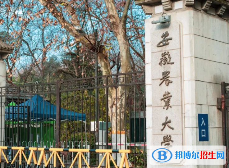 安徽农林类大学有哪些？(附名单)