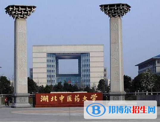湖北医药类大学有哪些？(附名单)