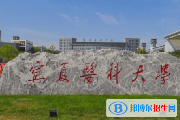 宁夏医药类大学有哪些？(附名单)
