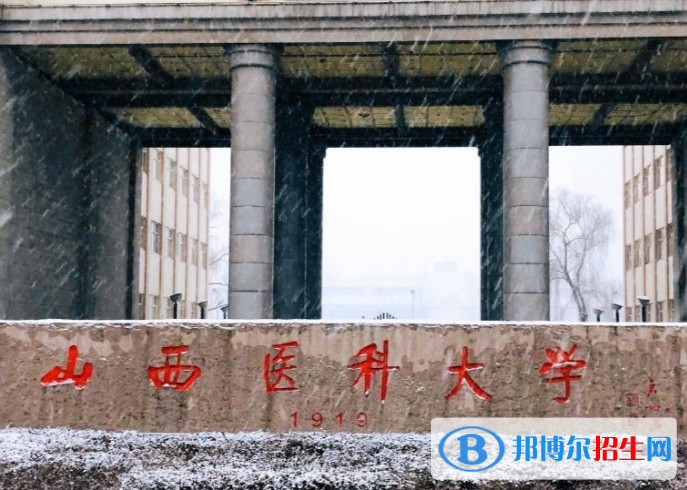 山西医药类大学有哪些？(附名单)