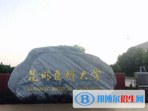 云南医药类大学有哪些？(附名单)