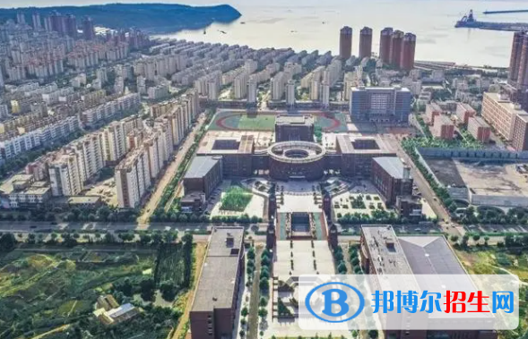 大连科技学院是不是双一流大学？