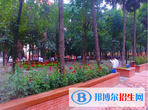 陕西2023年中专有哪些科目