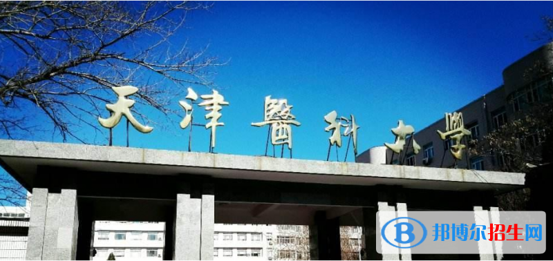 山东高考565分左右可以报考什么学校（2023报考参考）